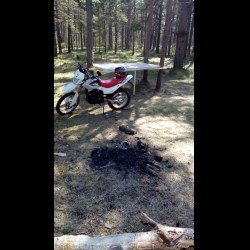 Ирбис Ттр 250 Высота по Седлу – Достойный эндуро