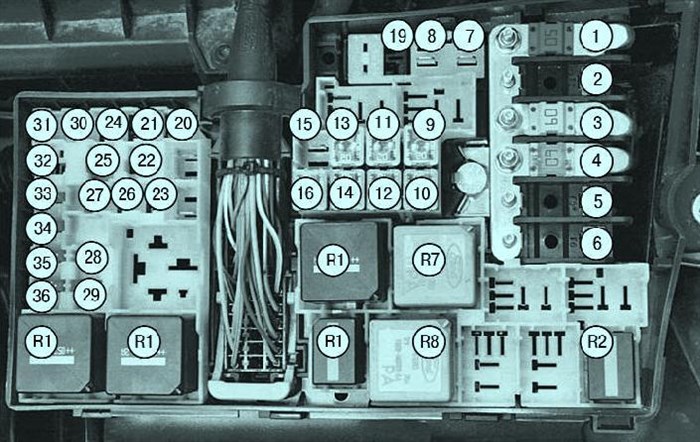 Не Горят Стоп Сигналы на Форд Фокус © Признаки неисправности
