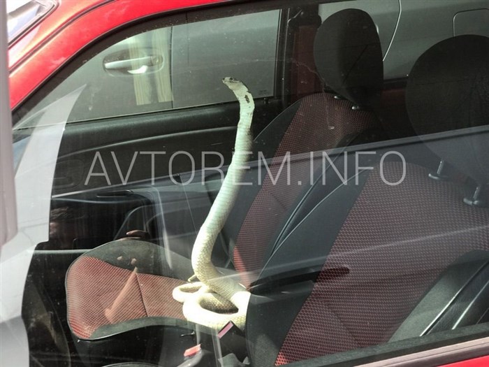 Не Горит Зажигание Ваз 2107 Инжектор. Как выставить зажигание на ваз 2107