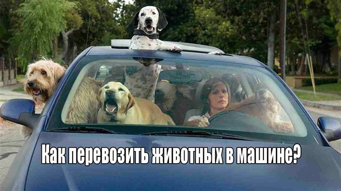 Не Горят Противотуманные Фары Киа Спектра – Соединения электростеклоподъемников Не Горят Противотуманные Фары Киа Спектра – Соединения электростеклоподъемников