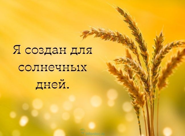 Весна Стучится в Окна Поет на Все Лады Горят – Песня на 8 марта