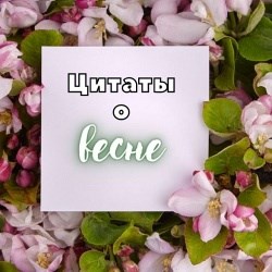 Весна Стучится в Окна Поет на Все Лады Горят – Песня на 8 марта