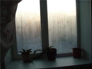 На Подоконнике Окна Стоит Ваза Тип Ошибки – Home and garden