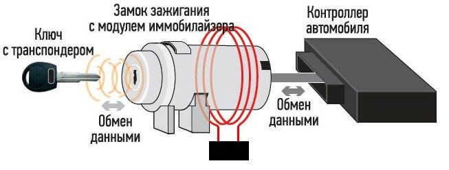 Engine Immobilizer Fault Перевод на Русский – Виды иммобилайзеров